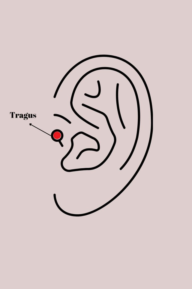 Gold Pembe Zirkon Taşlı Kelebek Tragus Piercing - 316L Çelik